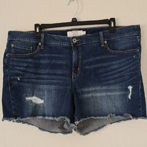 NWOT Torrid Denim shorts size 24
